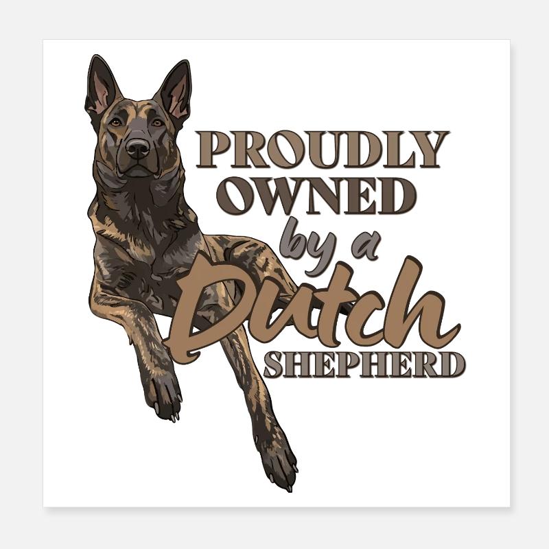 Dutch Shepherd – Dutchie Poster 20x20 cm