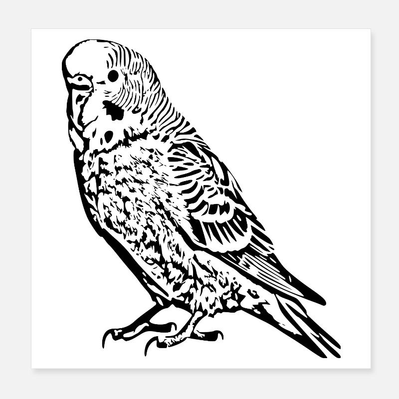 Budgie Bird black Poster 8" x 8" (20x20 cm)