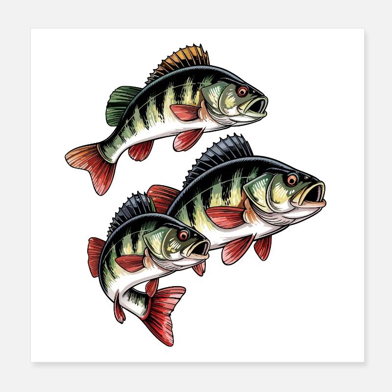 Pêche à la perche Poster 20 x 20 cm