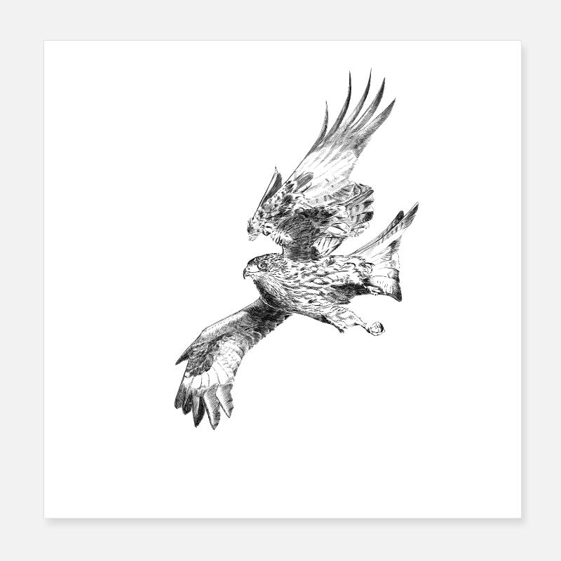Falcon Poster 20 x 20 cm