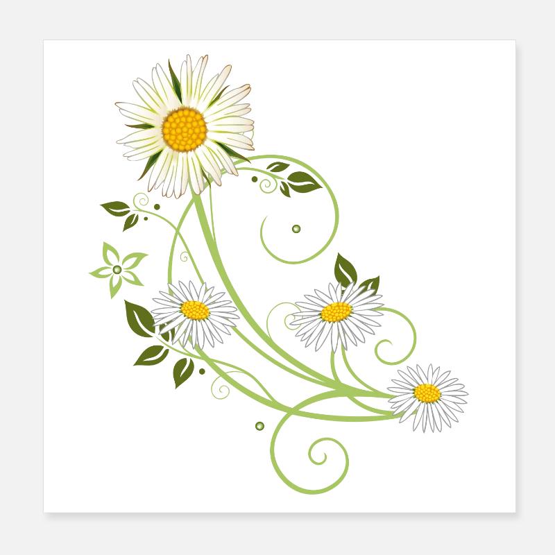 Ranke mit Margerite und Gänseblümchen Poster 20x20 cm