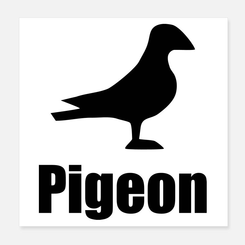 Pigeon Poster 20 x 20 cm