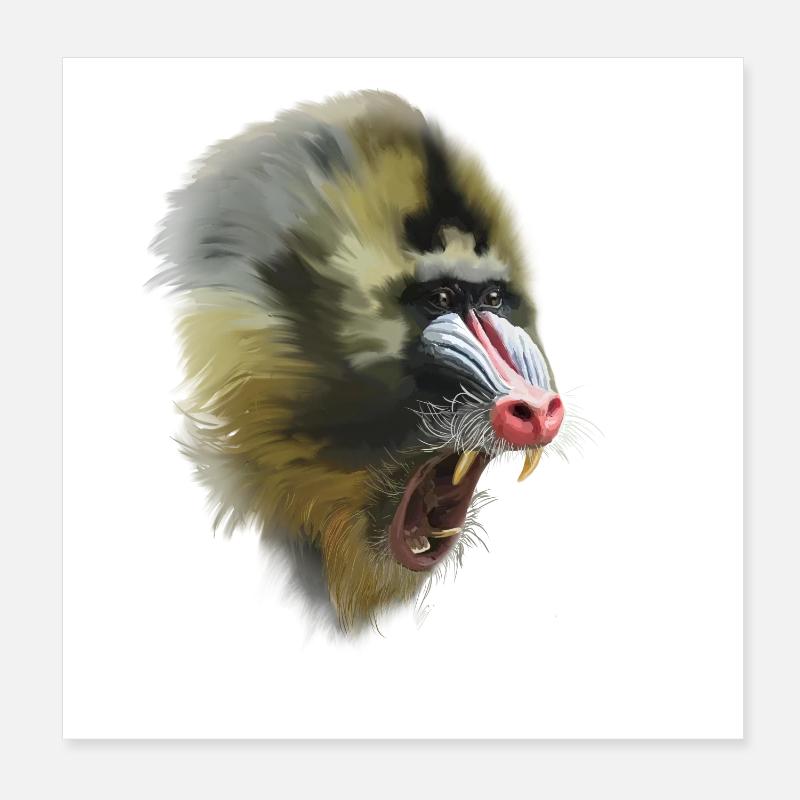 Mandrill Poster 20x20 cm