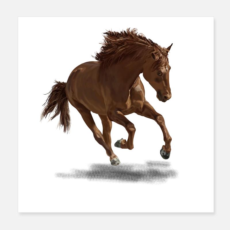 Pferd Poster 20x20 cm