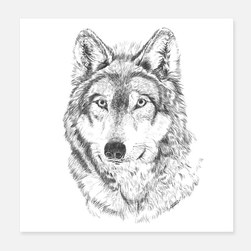 Wolf Poster 20 x 20 cm