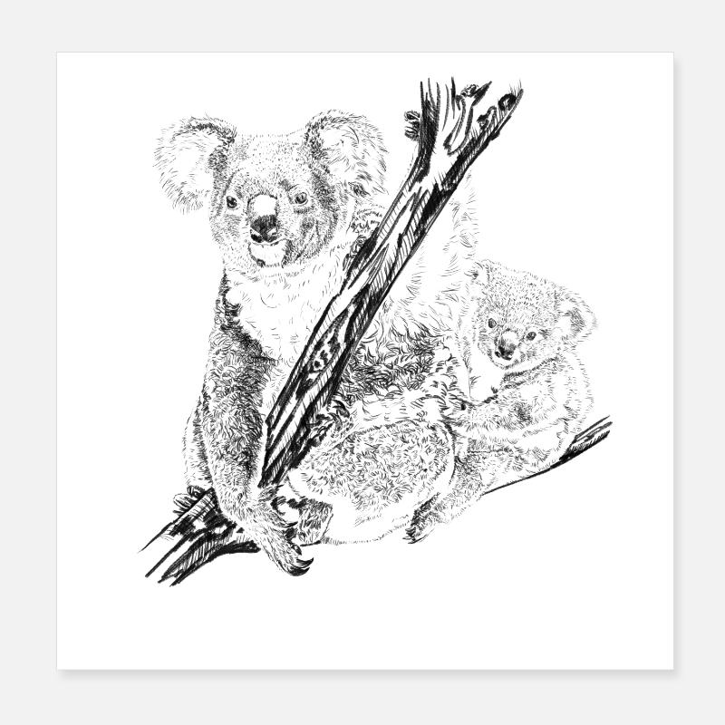 koala bear Poster 20 x 20 cm