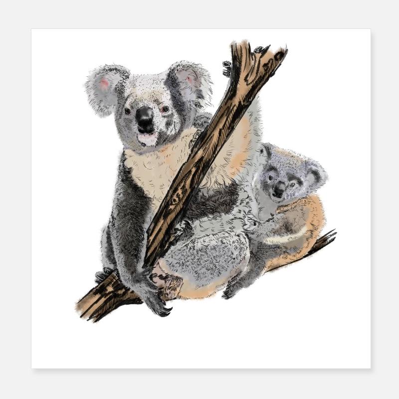 Koala Poster 20x20 cm