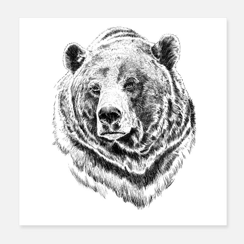 Bär Poster 20x20 cm