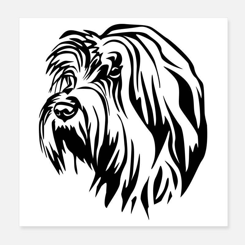 Gos d’Atura Catala Tête Poster 20 x 20 cm