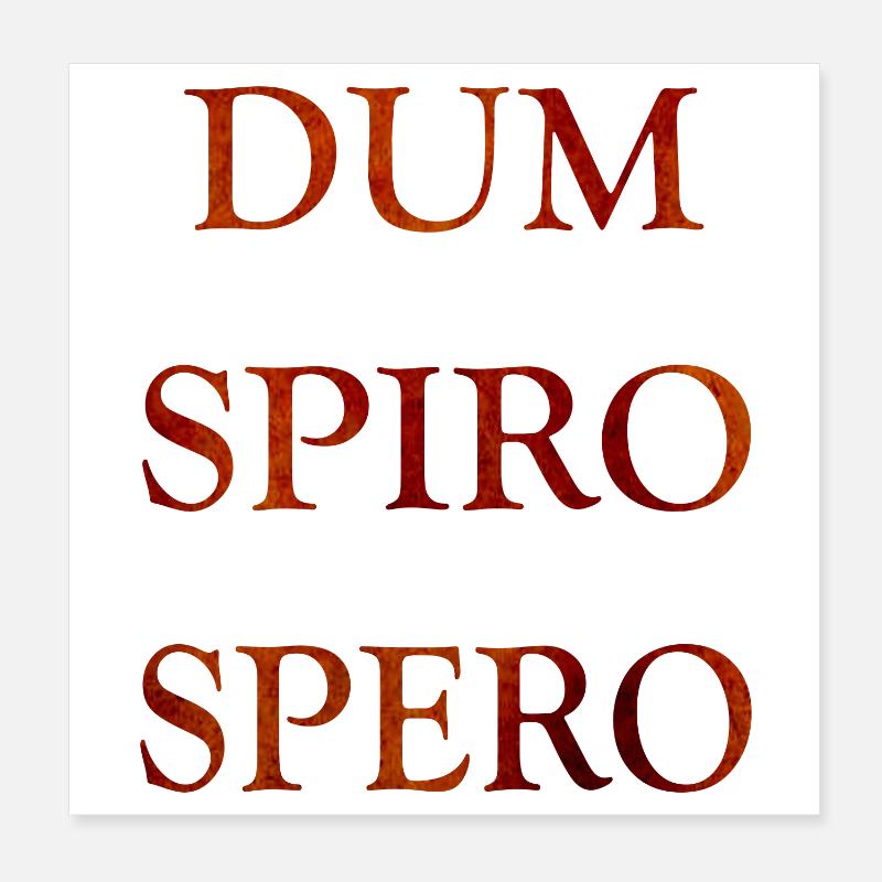 dum spiro spero, citations latines Poster 20 x 20 cm