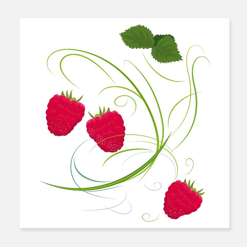 Raspberry, Fruit Poster 8" x 8" (20x20 cm)
