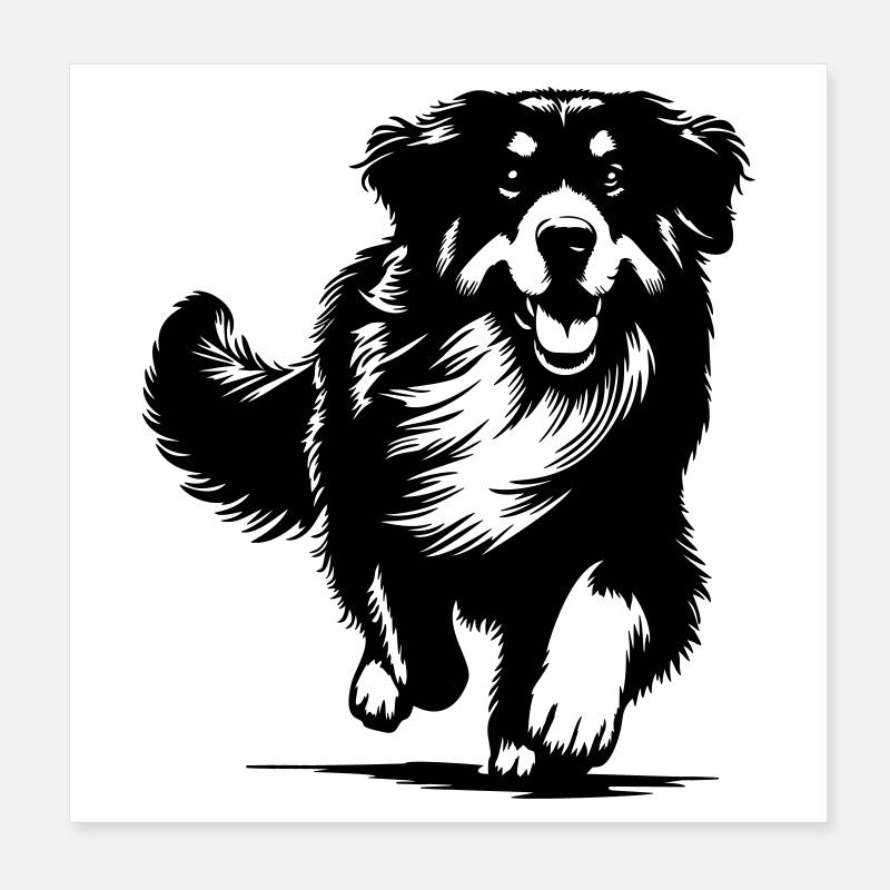 Hovawart Poster 20x20 cm