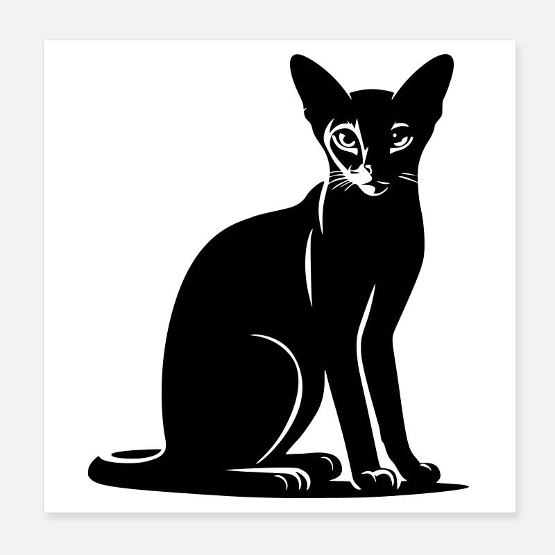 Chat abyssin Poster 20 x 20 cm