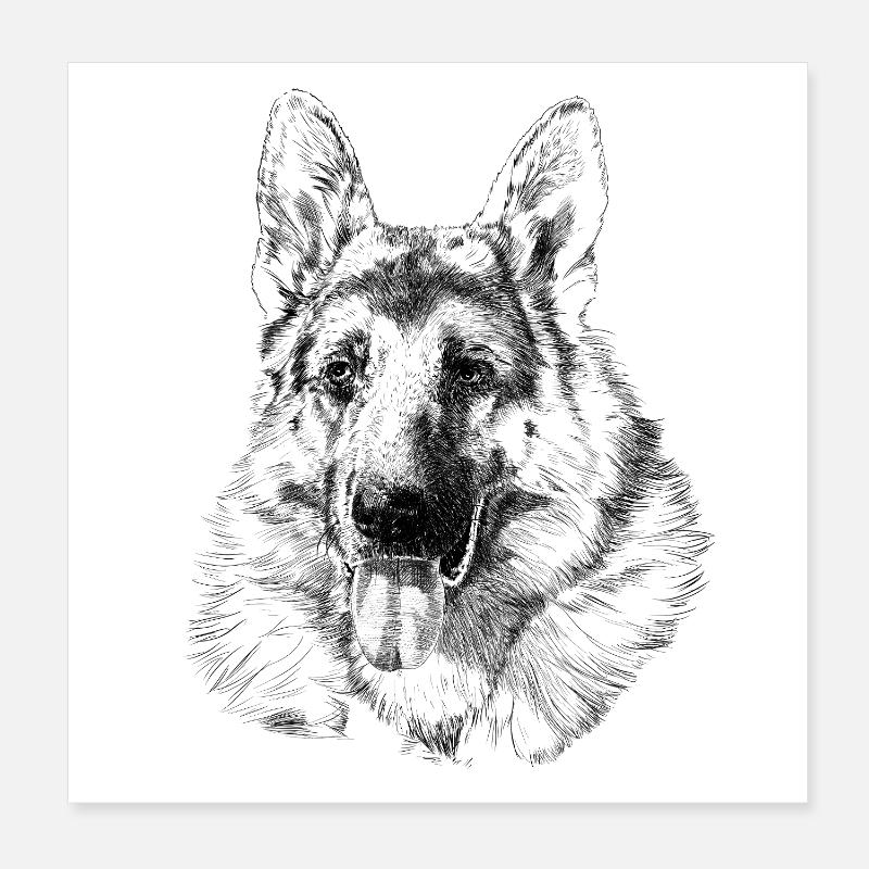 Schäferhund Poster 20x20 cm