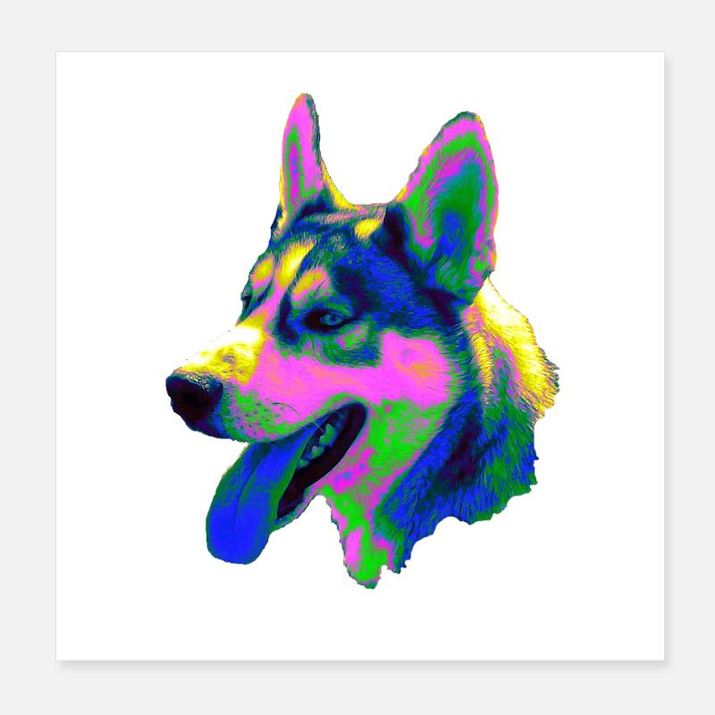 Tête de husky psychédélique Couleurs néon Poster 20 x 20 cm