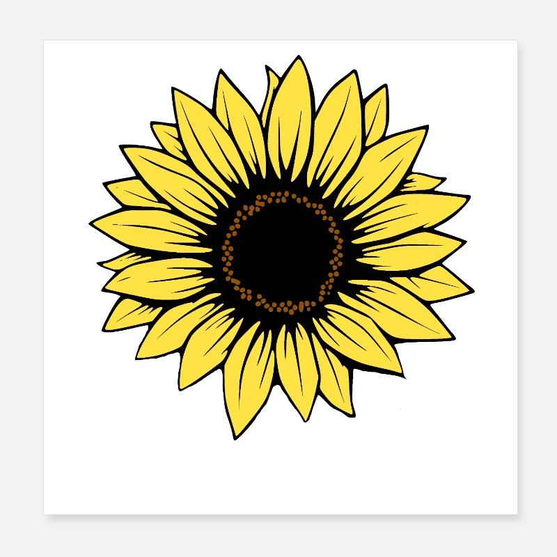 Fleur Fleur Jaune Fleurs Fleur Tournesol Fleur Poster 20 x 20 cm