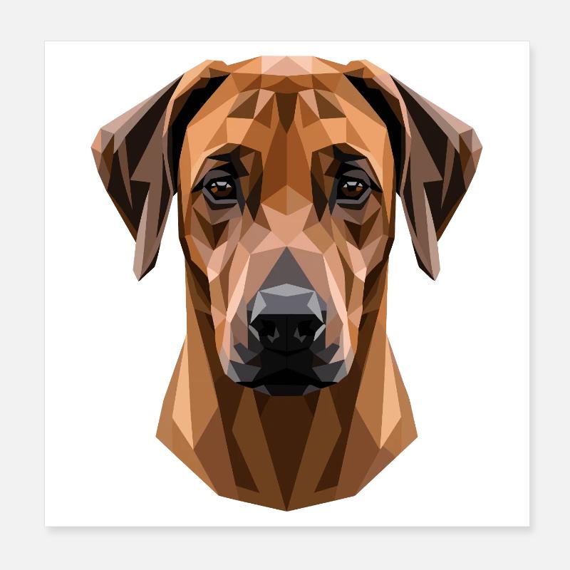 Rhodesian Ridgeback Hunting Dog Dogs Pride Ridgeback Poster 8" x 8" (20x20 cm)