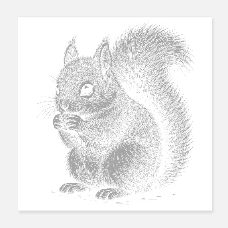 Eichhörnchen Poster 20x20 cm