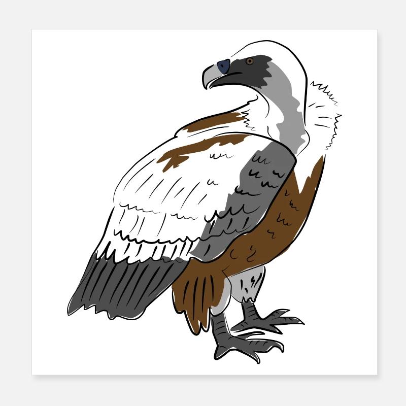 Vautour impressionnant dans le style de la nature Poster 20 x 20 cm