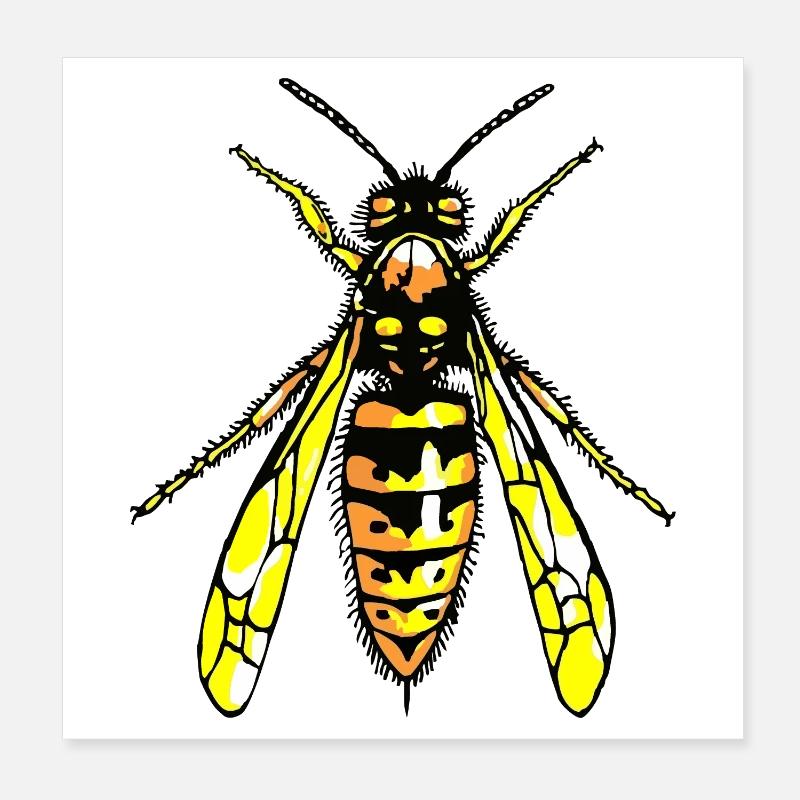 Wespe Poster 20x20 cm