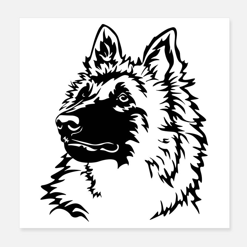 Tête tervuren Poster 20 x 20 cm