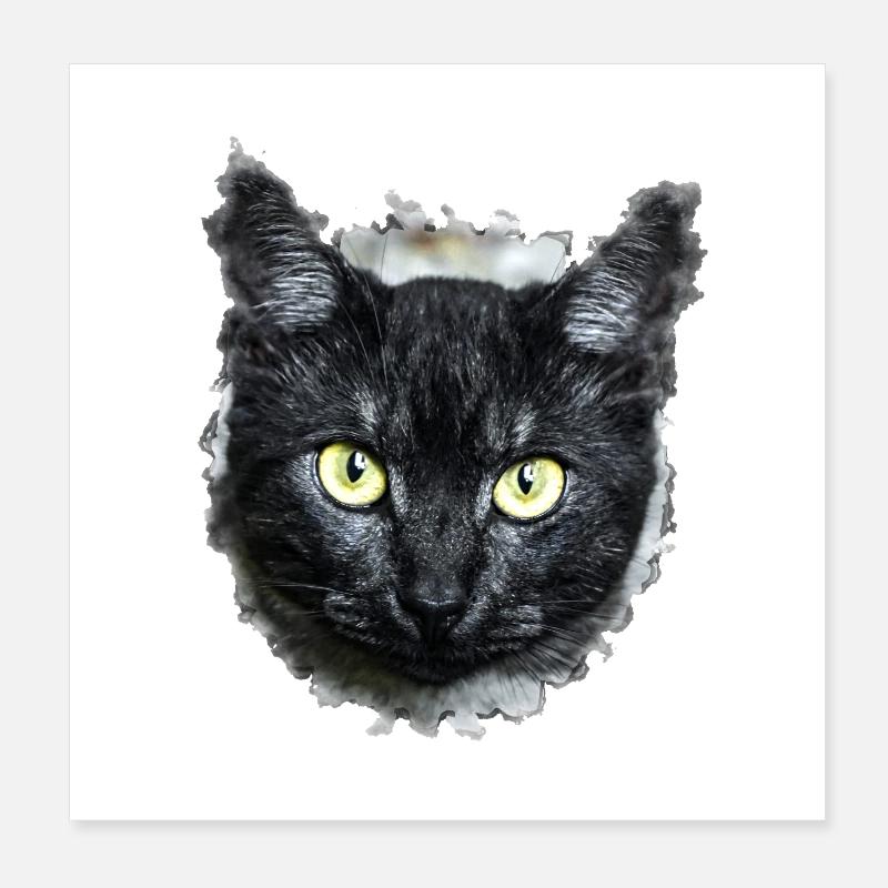 black cat chat noir Poster 20 x 20 cm