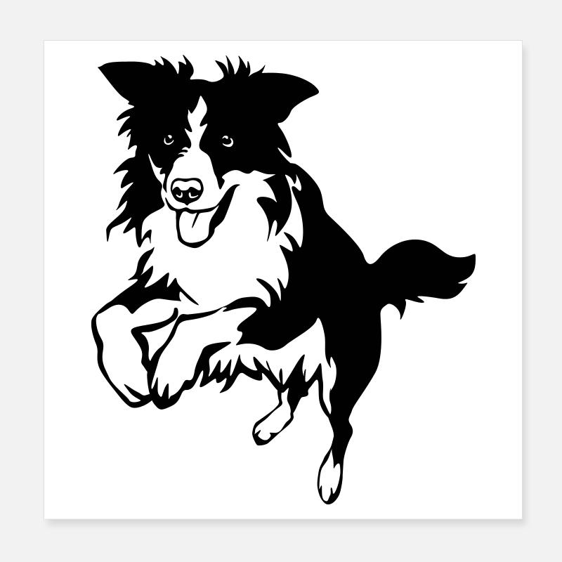Border Collie Poster 20 x 20 cm