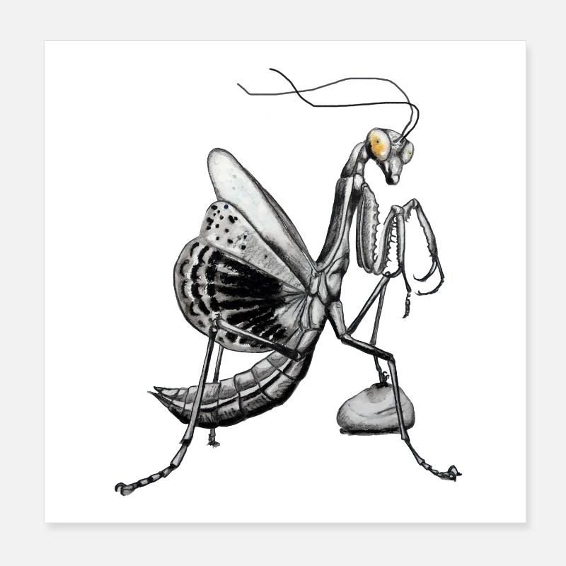 Gottesanbeterin Poster 20x20 cm