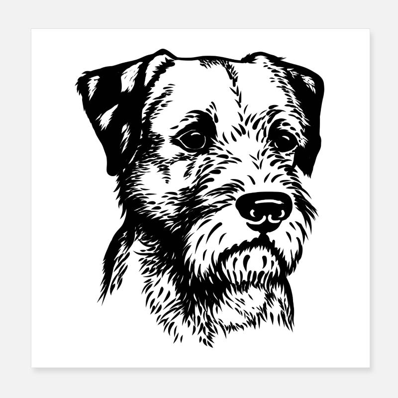 Border Terrier Portrait 1 Poster 20x20 cm