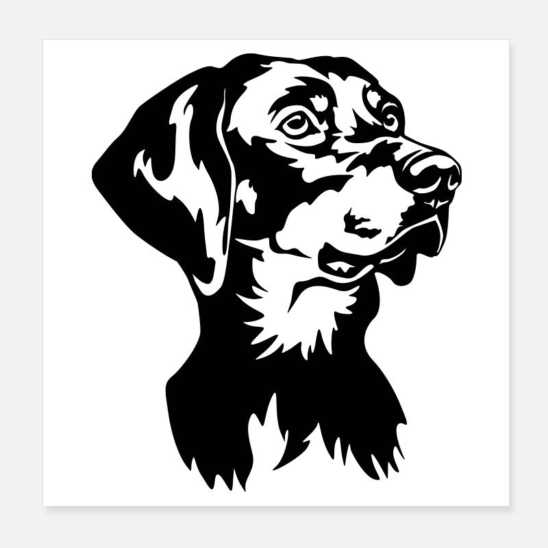 Tête de Brandlbracke Poster 20 x 20 cm