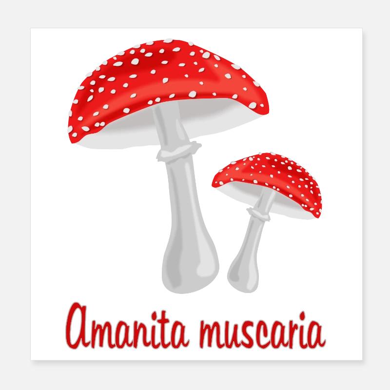 Champignons d’automne Poster 20 x 20 cm