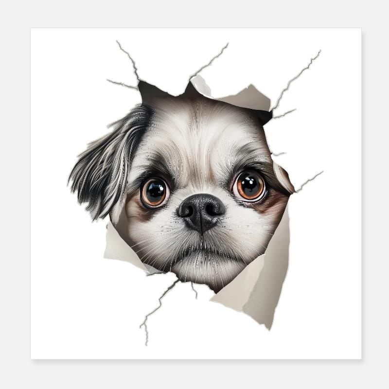 Shih Tzu Poster 20 x 20 cm