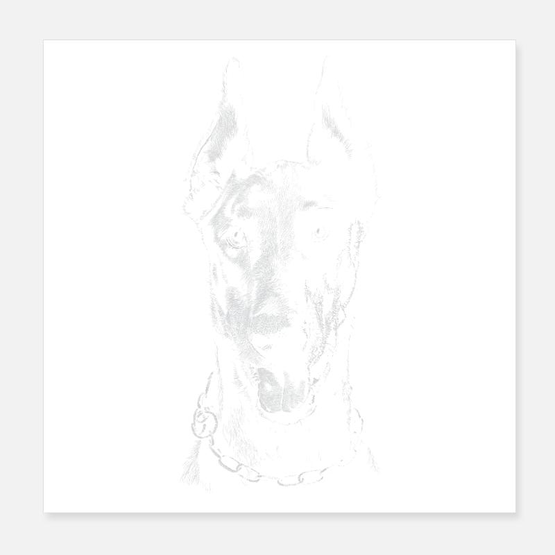 Doberman Poster 20 x 20 cm