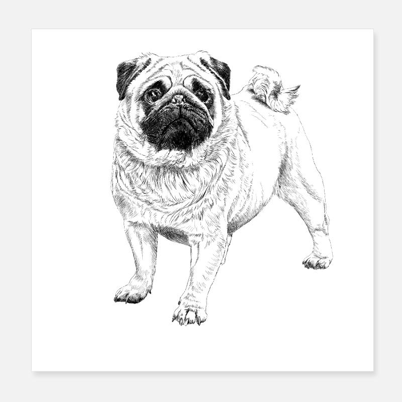 Mops Poster 20x20 cm