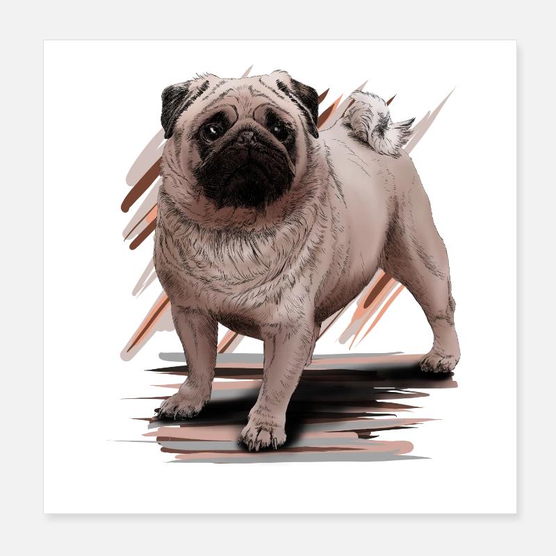 Pug Poster 20 x 20 cm