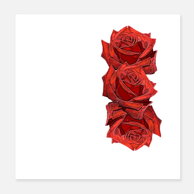Roses, roses rouges, fleurs, fleurs, nature, plantes Poster 20 x 20 cm