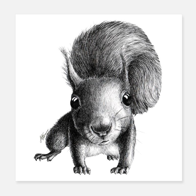 Squirrel Poster 8" x 8" (20x20 cm)