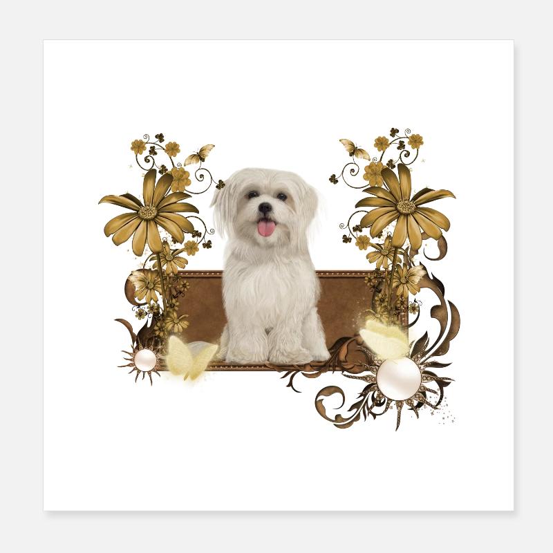 Chiot maltais mignon avec des fleurs Poster 20 x 20 cm