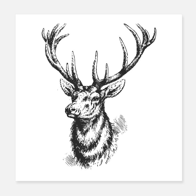 Hirsch Poster 20x20 cm