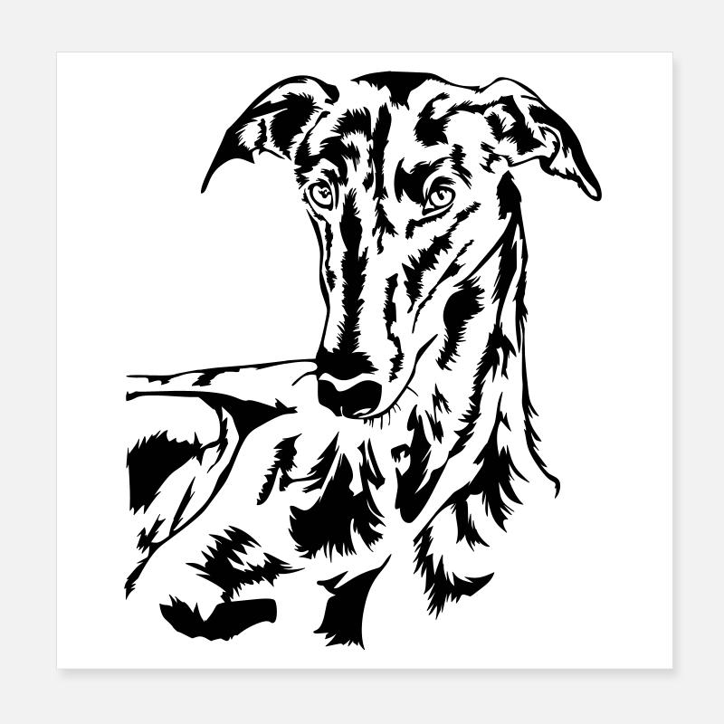 Galgo head Poster 8" x 8" (20x20 cm)