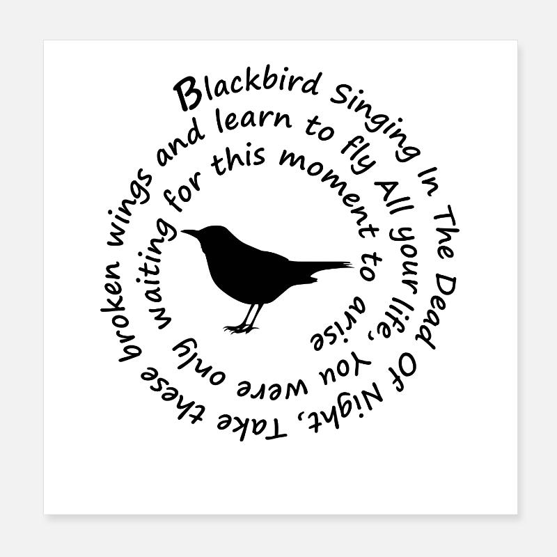 Chant de merle noir en toute nuit Prenez ces Poster 20 x 20 cm