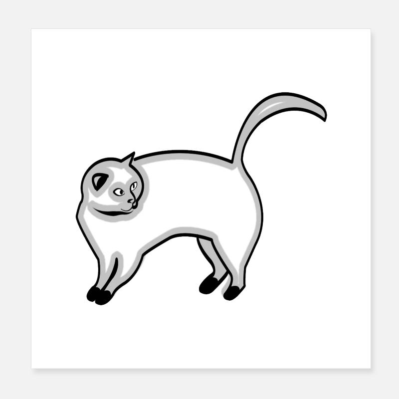 chat Poster 20 x 20 cm