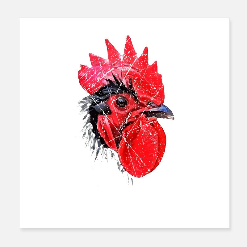 Tu as vu le poulet coq cool Poster 20 x 20 cm