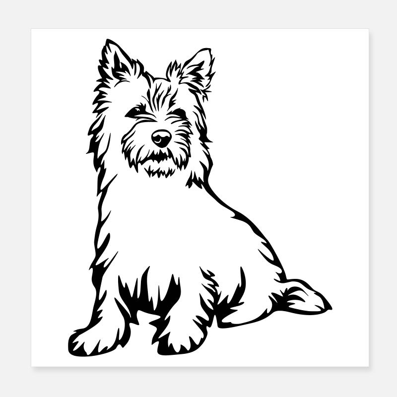 Cairn Terrier Poster 20x20 cm