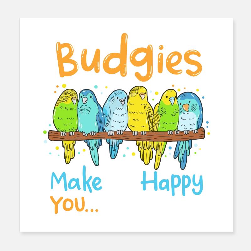 Perruches Perruches Oiseaux Poster 20 x 20 cm