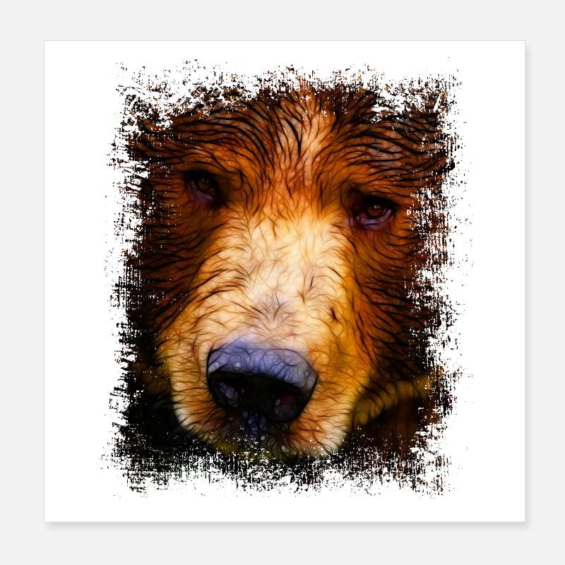 Braunbär Poster 20x20 cm