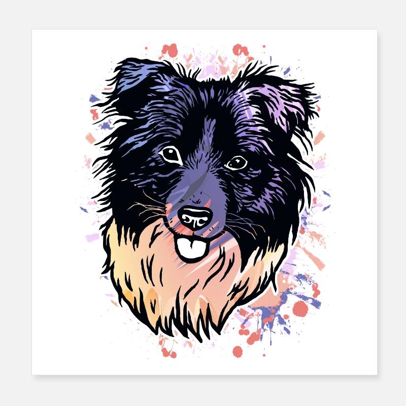 Border Collie éclaboussures de couleur Poster 20 x 20 cm