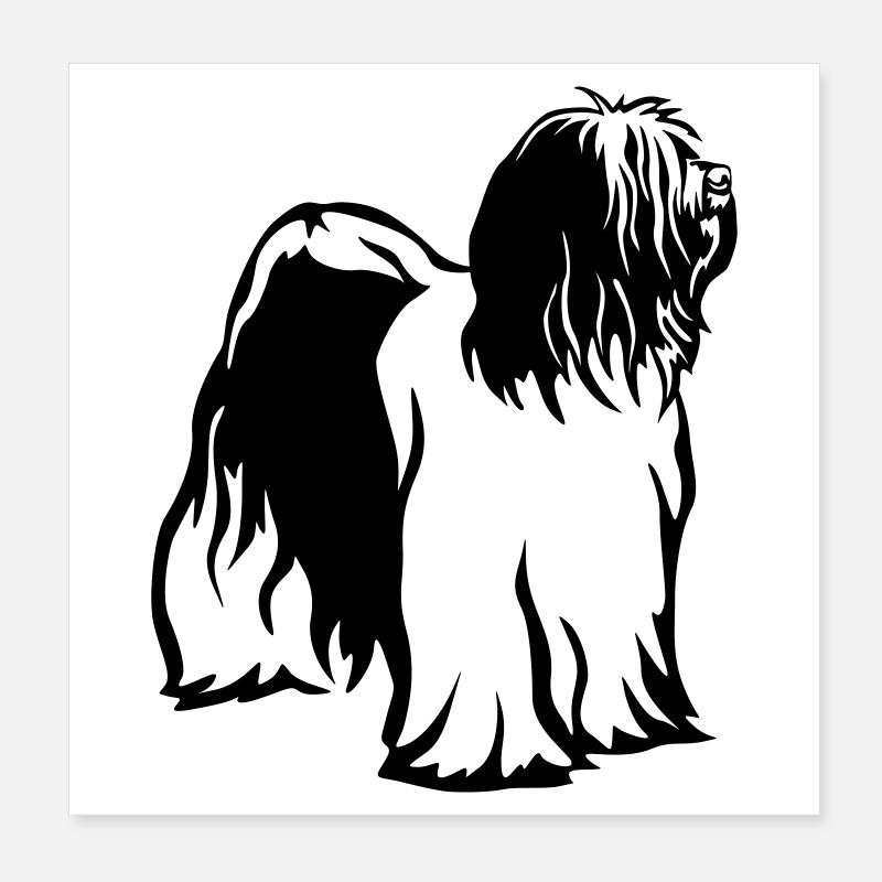 Terrier tibétain Poster 20 x 20 cm