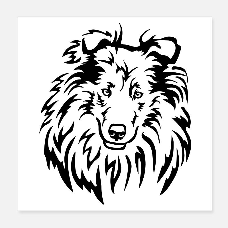 Collie Head Poster 8" x 8" (20x20 cm)