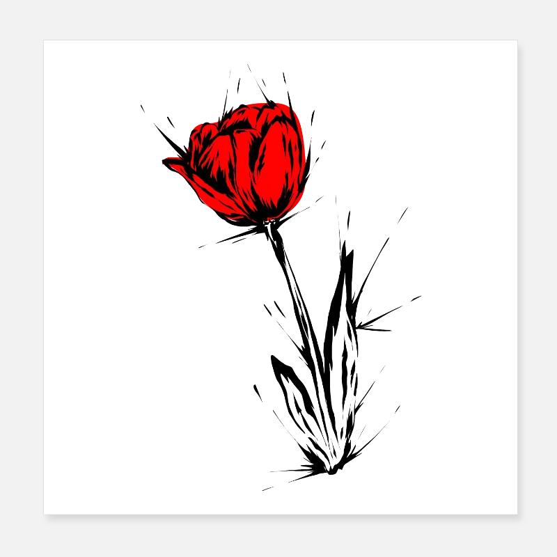 Tulpe Poster 20x20 cm